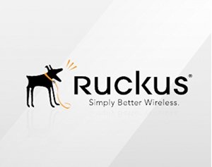 Ruckus 902-0176-0000 Hardware