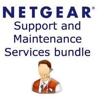 Netgear STM300B-10000S Prosecure Stm300 Subscription Bundle Of 1-year 