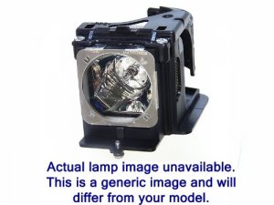 Benq 5J.JAD05.001 Replacement Lamps Mw824st