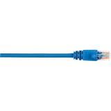 CAT5EPC-006-BL