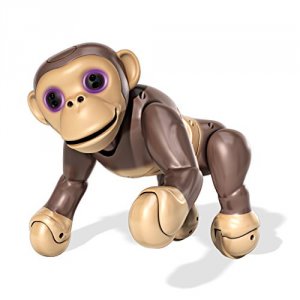 Spin 6027473 Zoomer Chimp