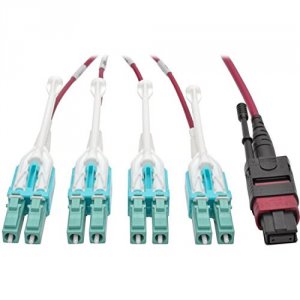 Tripp N845-01M-8L-MG 1m Mtp Mpo 8xlc 50125 Om4 Fanout Patch Cable 12 F