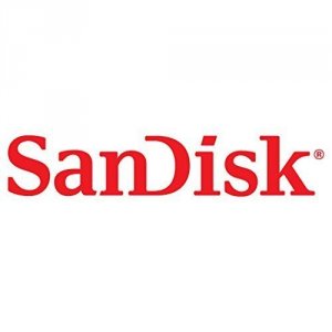 Western SDSDXWF-064G-ANCIN Sandisk Extreme Sdhc Memory Card, 64gb, Sds