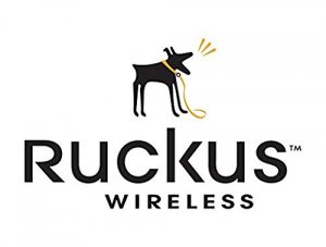 Ruckus P01-S104-UN00 Smartzone 100