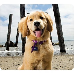 Fellowes 5916401 Recycled Mouse Pad Puppy At     Beach