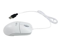 Fujitsu FPCMO036AP Usb Wired Mouse (white) - May De