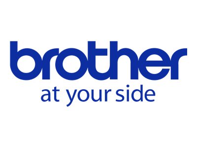 Brother-LC101C