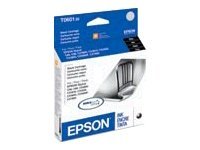 Original Epson EPST060120 Sd Yld Black Ink