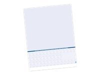 Troy TRS99-21101-301 Securty Check Paper