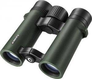 Barska AB12528 10x42 Wp Air View Binoculars Green Color