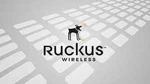 Ruckus 901-P300-WW02 Zoneflex P300