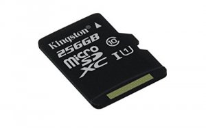 Kingston SDCS/256GBSP Canvas Select - Flash Memory Card - 256 Gb - Uhs