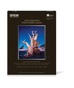 Epson S041913 Prem Lstr Photo Papr 8.5x11 250