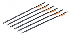 Center AXCCA206PK1 Centerpoint 20 Carbon Crossbow Arrow .003 Pack Of 6