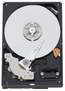 Western WD2502ABYS 250gb 7.2k 16mb Sata 3gb 3.5