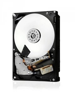 Hgst 0F22794 Hard Drive  Hus726040al4210 3.5 Inch 4tb 128mb Sas 12gbs 