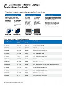 3m GF170W1B Netbook And Notebook Gold Privacy Filters - Unframed 17.0 