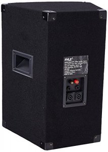 Pyle PADH1079 Pro(r)  500-watt, 10 2-way Professional Speaker Cabinet