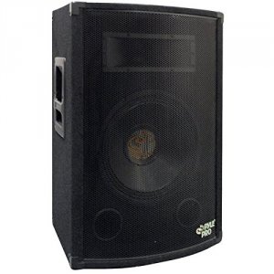 Pyle PADH1079 Pro(r)  500-watt, 10 2-way Professional Speaker Cabinet