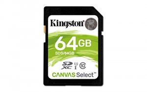 Kingston SDS/64GB Memory  64gb Sd Card Canvas Select 80mbs Read 10mbs 