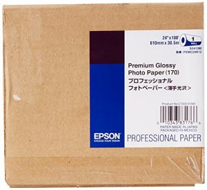 Epson S041390 Premium Glossy Photo Paper 170