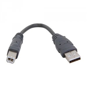 Belkin F3U133-06INCH Usb Cable  4 Pin Usb Type A (m) 4 Pin Usb Type B 