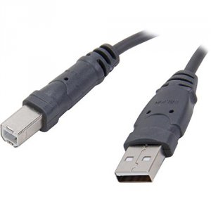 Belkin F3U133-06INCH Usb Cable  4 Pin Usb Type A (m) 4 Pin Usb Type B 