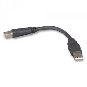 Belkin F3U133-06INCH Usb Cable  4 Pin Usb Type A (m) 4 Pin Usb Type B 