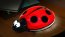 Dreambaby L689 Ladybug Battery       Operated Night Light