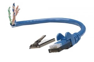 Intellinet 342568 1.5 Ft Blue Cat6 Snagless Patch Cable