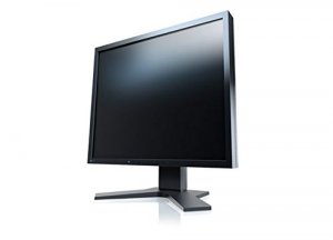 Eizo S2133-BK 21.3in Lcd 1600x1200 1500:1