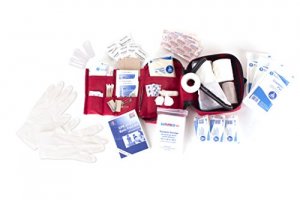 Stansport 634-300 Wilderness First Aid Kit