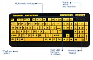 Adesso AKB-132UY Luminous 4x Large Print Multimedia Desktop Keyboard -