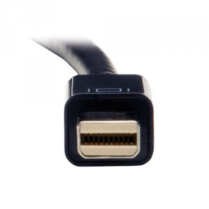 Tripp P137-06N-DVI 6in Mini Displayport To Dvi Adapter Converter Mdp T