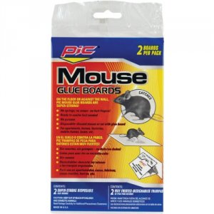 Pic 815825012356 Gmt2f Glue Mouse Boards (24 Packs Of 2)