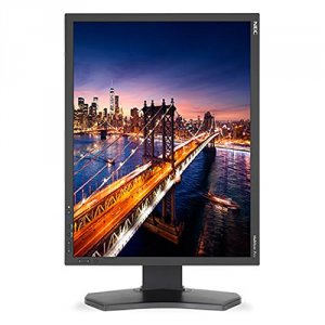 Nec P212BK 21 Led Backlit Lcd Monitor