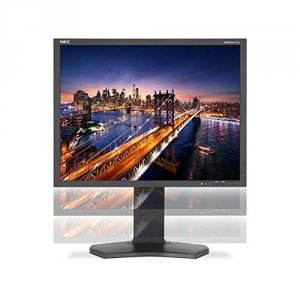 Nec P212BK 21 Led Backlit Lcd Monitor