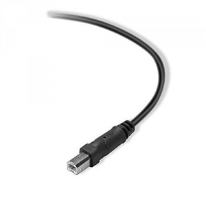 Belkin F3U154BT3M Cable,usb,dstp,usbausbb,3m,device