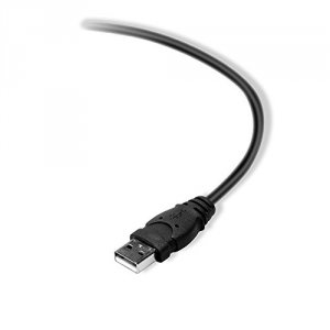 Belkin F3U154BT3M Cable,usb,dstp,usbausbb,3m,device