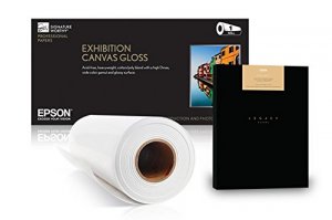 Epson S045479 Ds Transfer Multi Purpose Paper 17 X 300