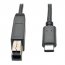 Tripp U422-003-G2 Usb 3.1 Gen 2 (10 Gbps) Cable, Usb Type-c (usb-c) To