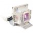 Datastor PA-009182 Benq 5j.j1v05.001 Lamp