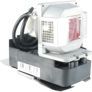 Datastor PA-009768 Mitsubishi Vlt-xd520lp Lamp