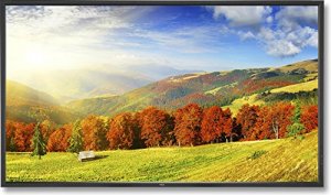 Nec X551UHD 55 Inch Ultra High Definition Led Backlet Professional Dis