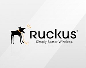 Ruckus 911-0303-VP02 At-0303-vp01