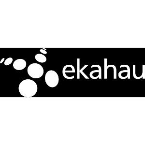 Ekahau SA-1-KIT Usb Survey Adapter Kit          Qty 2 Usb Wl Nic Adapt