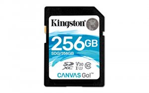 SDG/256GB