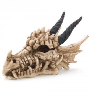 Dragon 13240 Dragon Skull Treasure Box 100