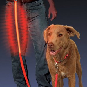 Nite NNL0310 Dawg Leash Red