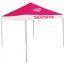 Logo 811-39E Detroit Red Wings Economy Tent